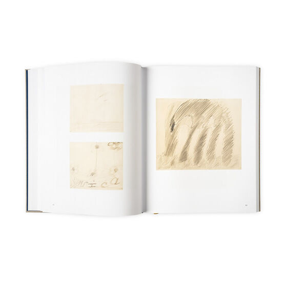 Hilma af Klint Catalogue Raisonn&eacute; Volume I: Spiritualistic Drawings (1896-1905)
